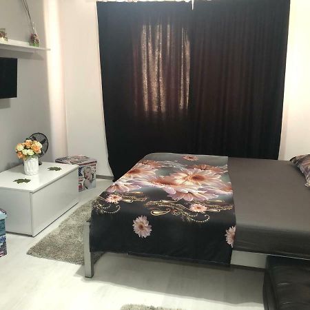 伯伊莱海尔库拉内Garsoniera Aleea Trandafirilor公寓 外观 照片
