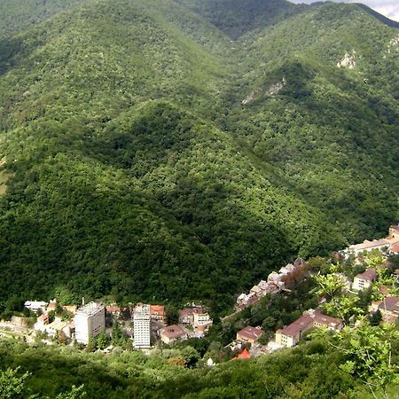 伯伊莱海尔库拉内Garsoniera Aleea Trandafirilor公寓 外观 照片